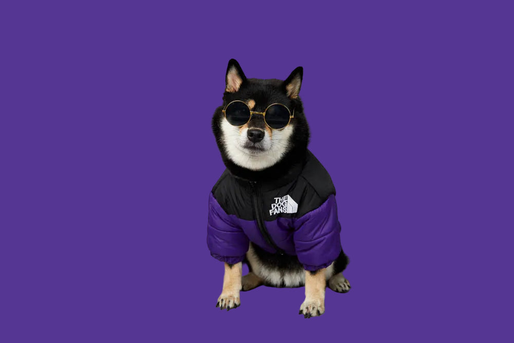 Luxury Dog Coat – Cotton Padded Winter Jacket for Shiba Inu & French Bulldog