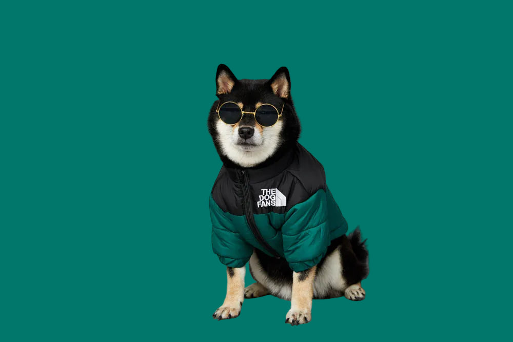 Luxury Dog Coat – Cotton Padded Winter Jacket for Shiba Inu & French Bulldog