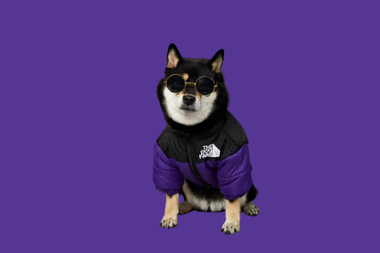 Luxury Dog Coat – Cotton Padded Winter Jacket for Shiba Inu & French Bulldog