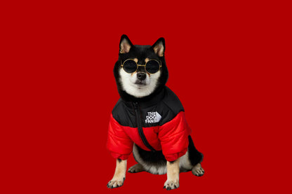 Luxury Dog Coat – Cotton Padded Winter Jacket for Shiba Inu & French Bulldog