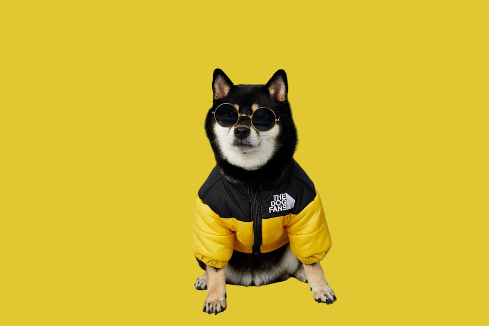Luxury Dog Coat – Cotton Padded Winter Jacket for Shiba Inu & French Bulldog