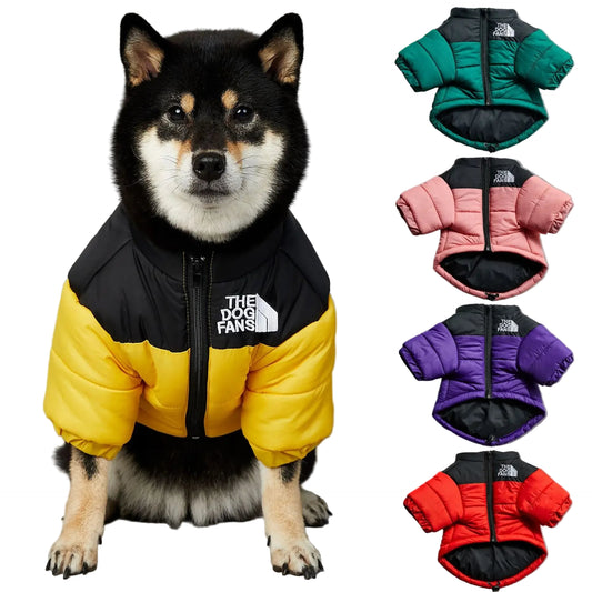 Luxury Designer Dog Coat - Warm Cotton Padded Jacket for Shiba Inu & French Bulldog